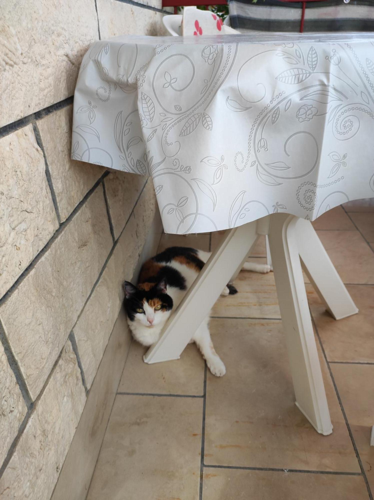 Apartmani Valentino Makarska Exterior foto